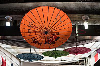 TGS 2023观影人数超24.3万 有显著增长